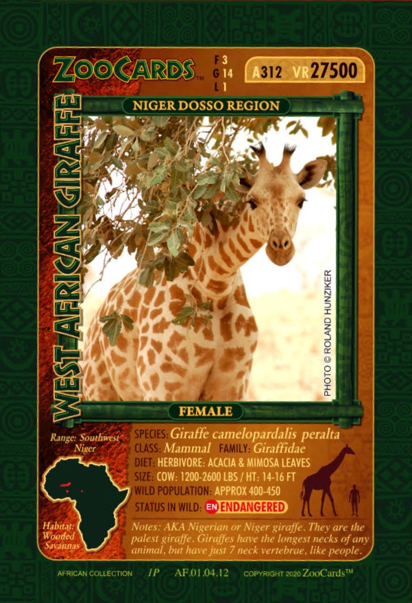 Giraffe Card